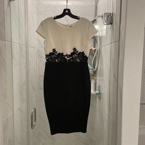 AX Paris Fitted Dress